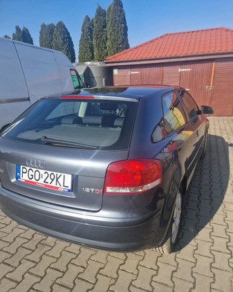 Audi A3 cena 16500 przebieg: 250000, rok produkcji 2007 z Olesno małe 22